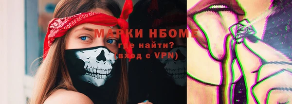 хмурый Алзамай