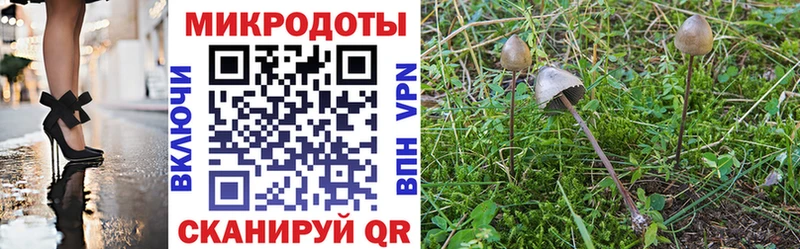 Псилоцибиновые грибы Psilocybine cubensis  наркошоп  Сибай 